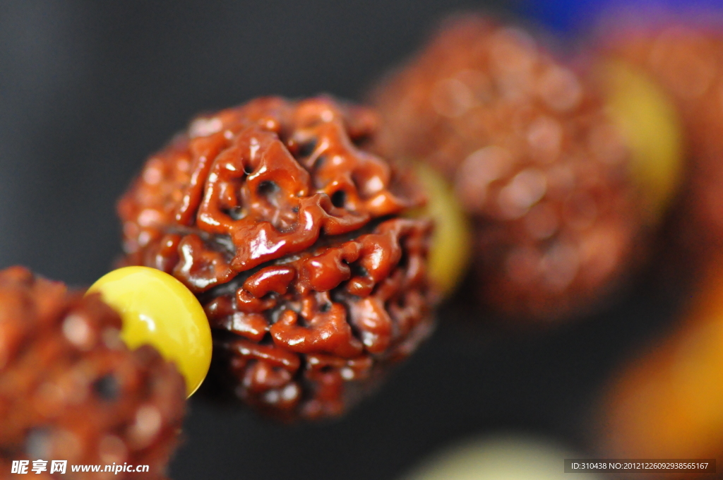 金刚菩提子