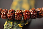 金刚菩提子
