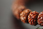 金刚菩提子