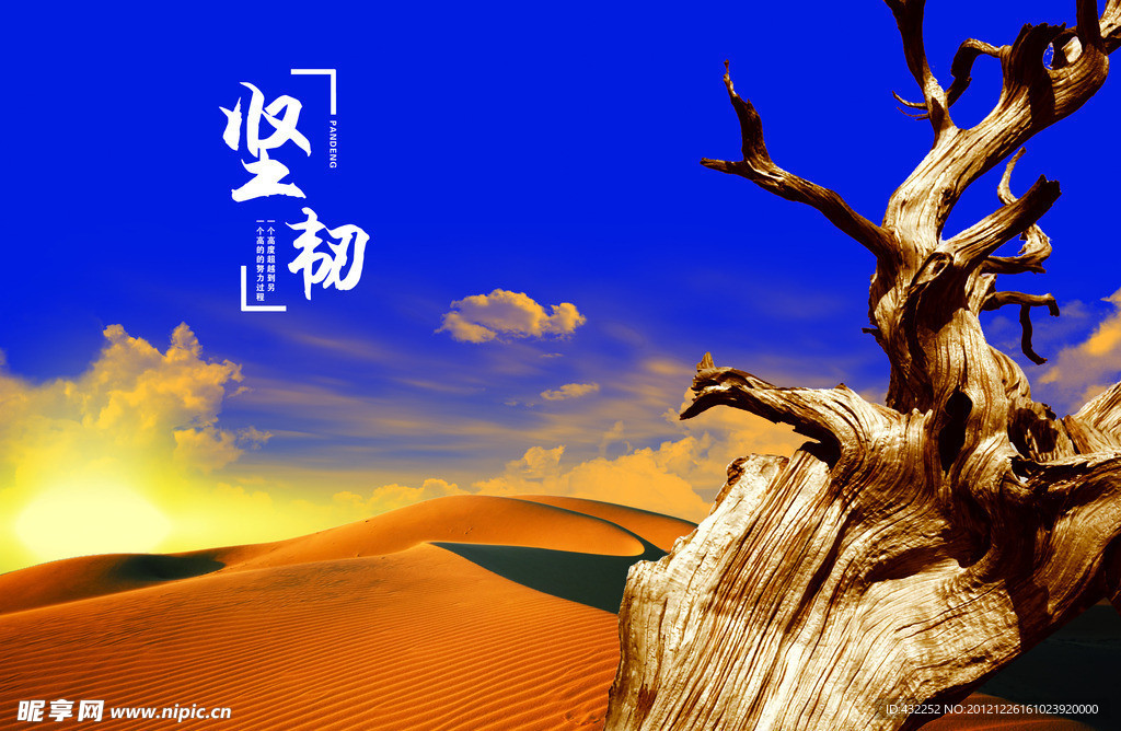 大漠风光