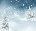 雪景