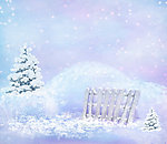 雪景