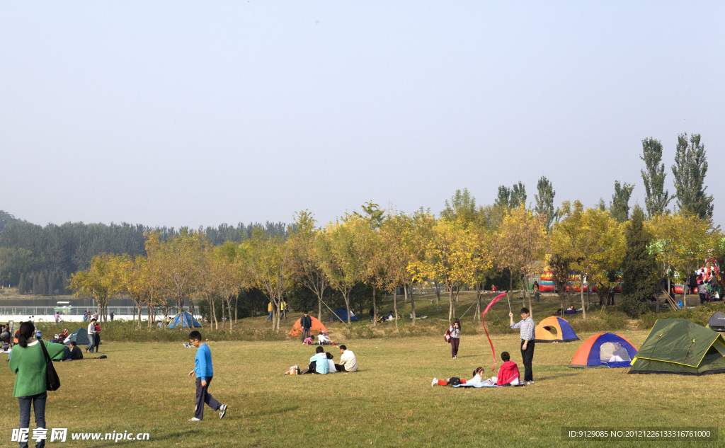 奥林匹克森林公园一景