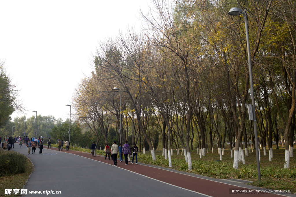 奥林匹克森林公园一景