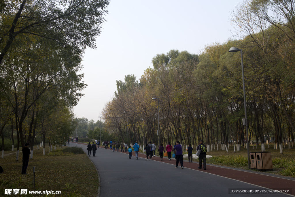 奥林匹克森林公园一景