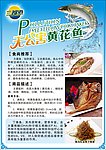 三都港 黄花鱼