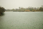湿地风光