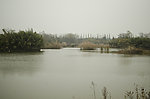 西溪湿地风景
