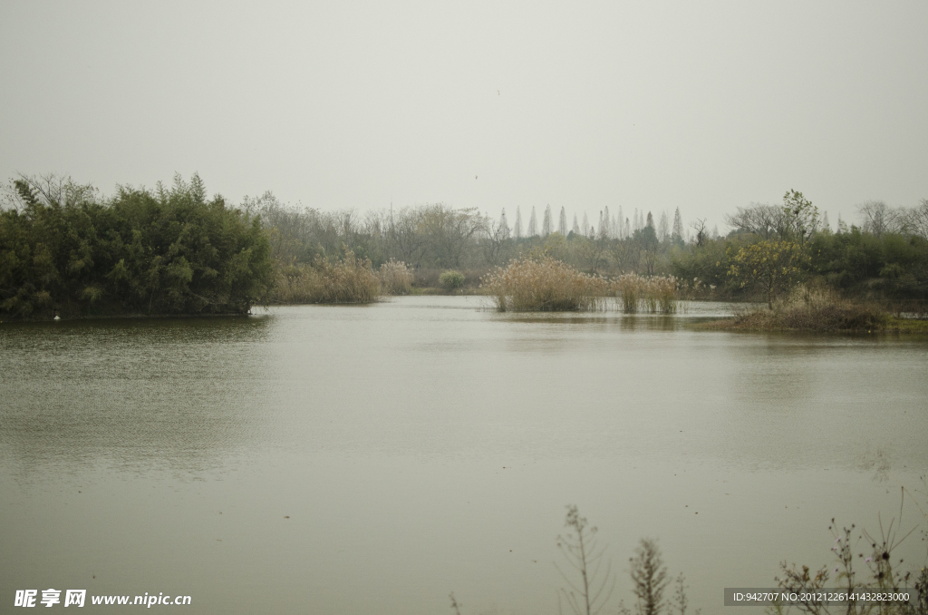 西溪湿地风景