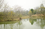 湿地风景
