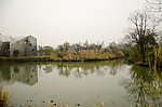 湿地风景