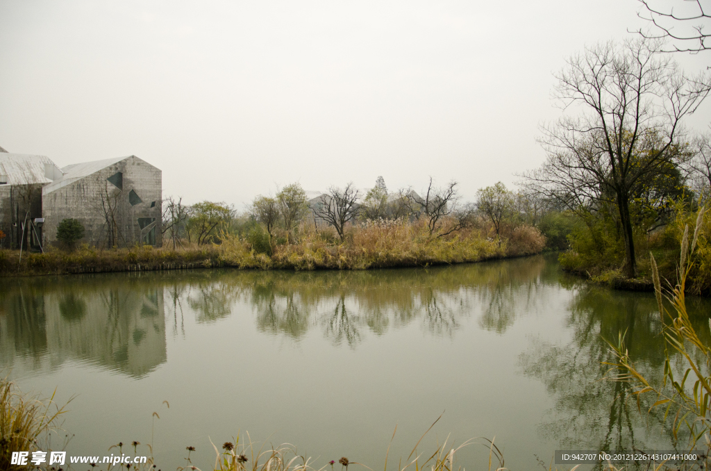 湿地风景
