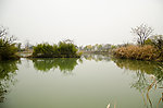 西溪湿地风景