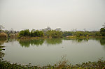 湿地风景