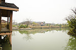 西溪湿地风景