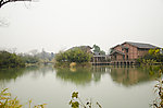 西溪湿地