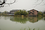 西溪湿地