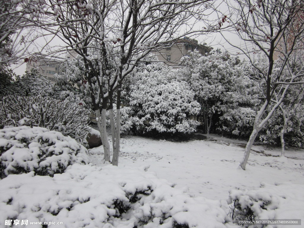 美丽雪景