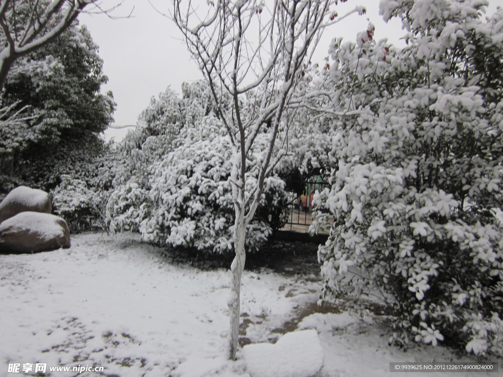 雪景