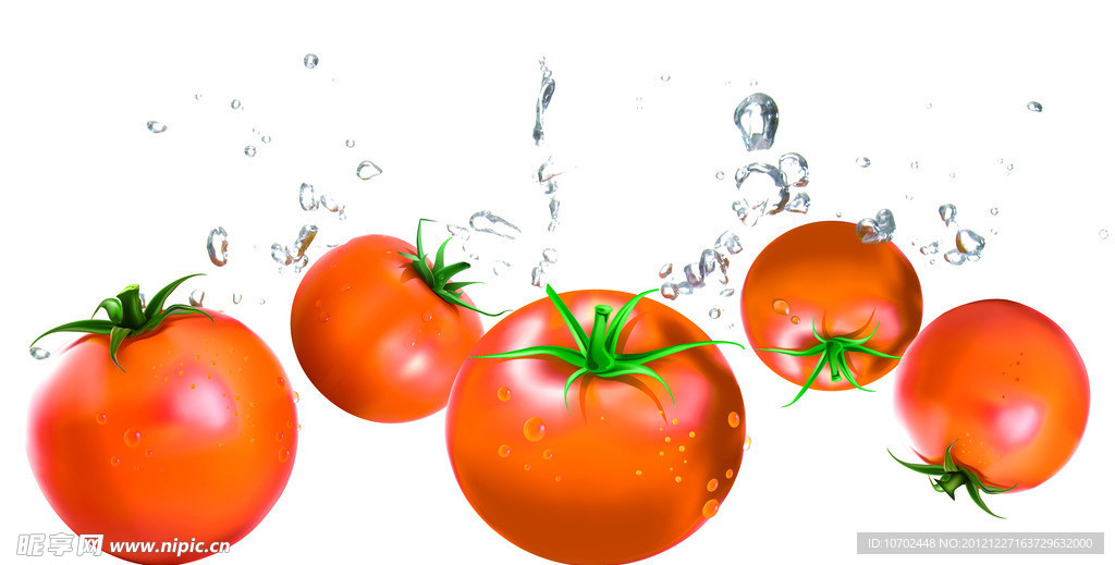 动感番茄 西红柿