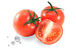 番茄组合 西红柿