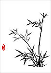 竹子 墨竹