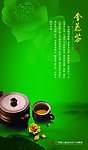 金花茶