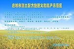 测土配方施肥方案
