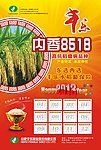 水稻海报年历
