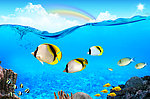 海洋