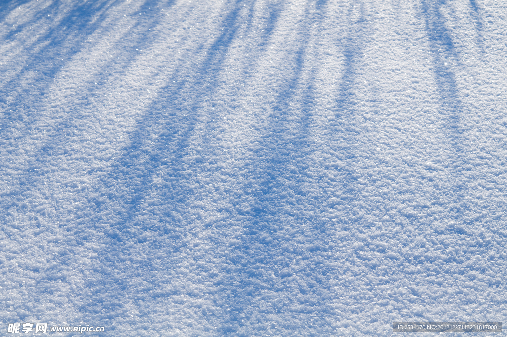 雪地