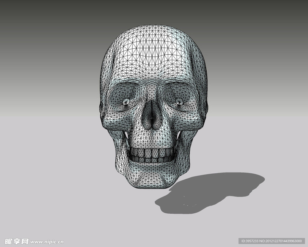 头骨精细3D模型