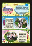 学校班级展板