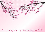 底纹