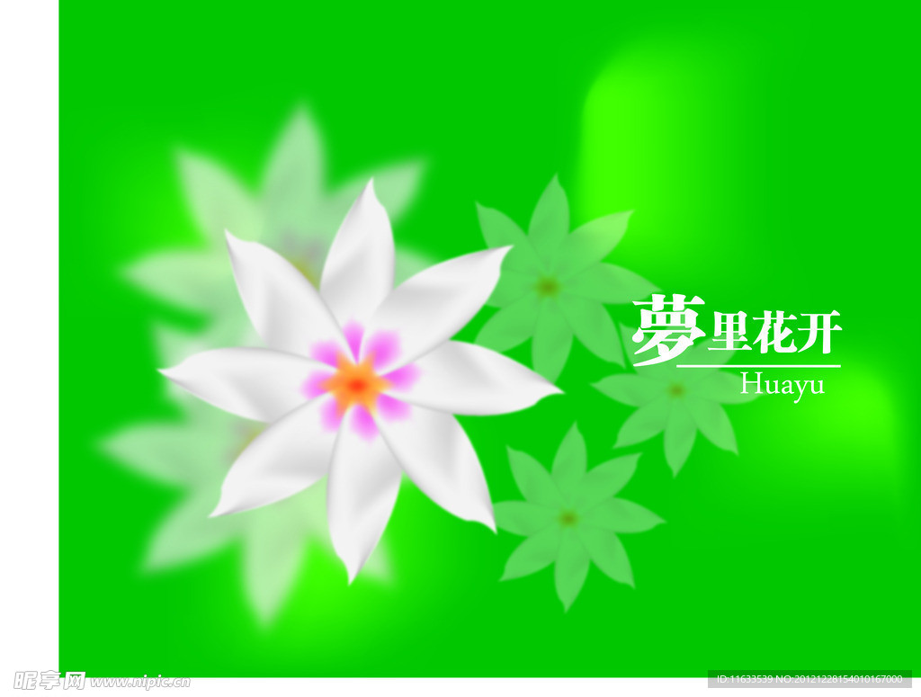 梦幻的白花