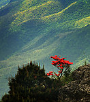 武功山风光