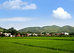 社会主义新农村
