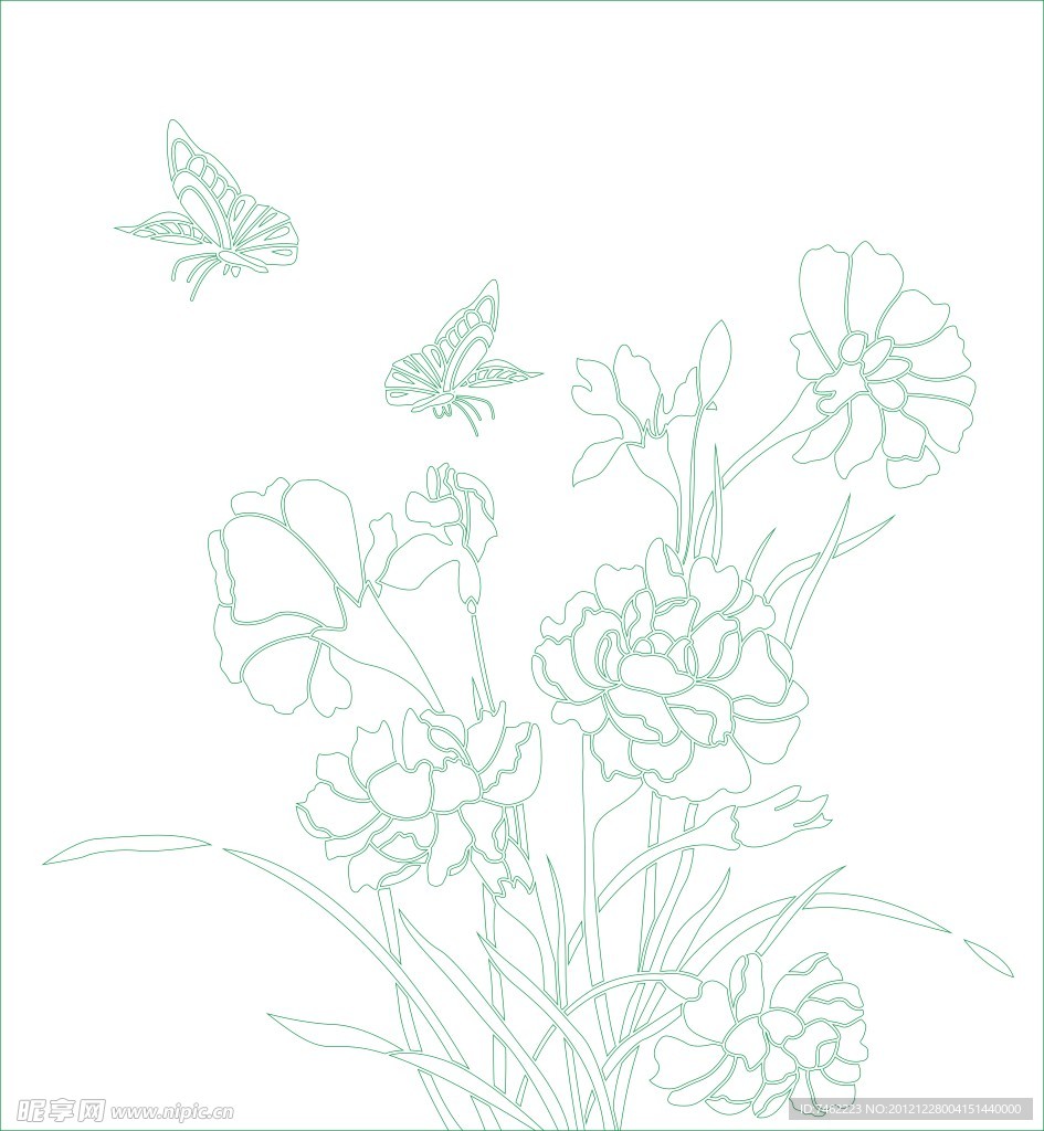 蝴蝶 花