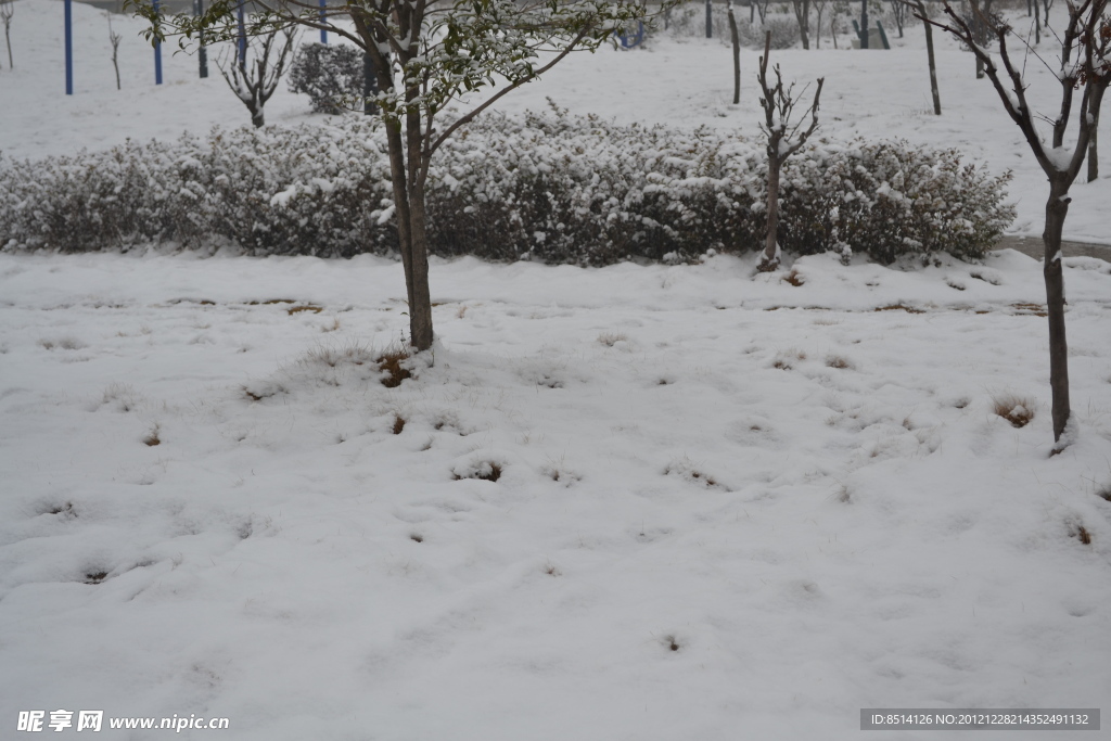 雪地