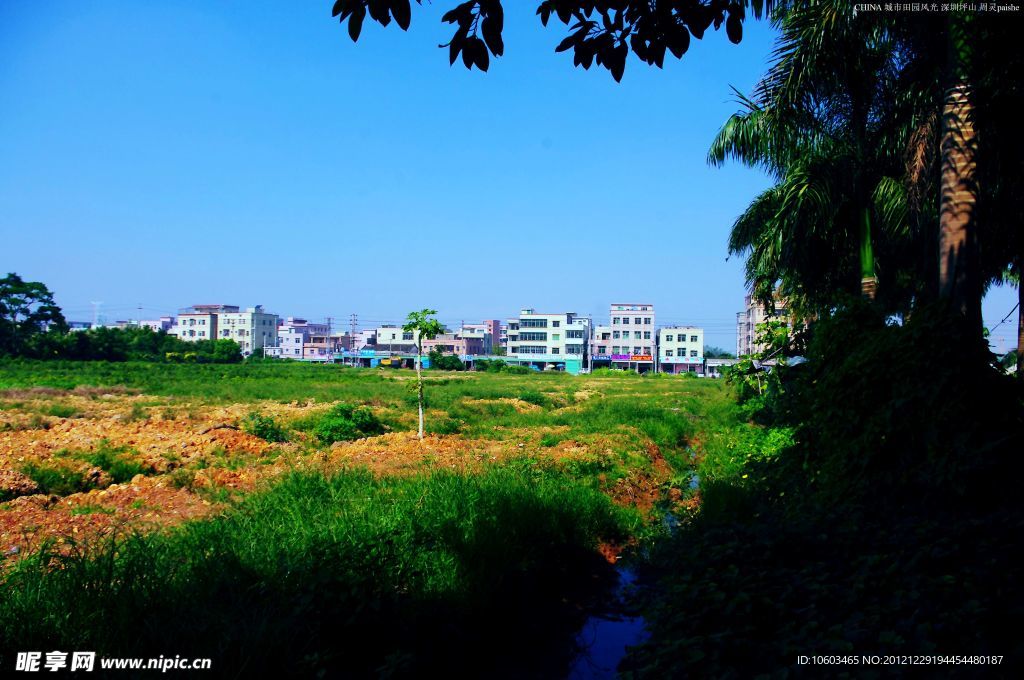 城市绿野