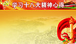 十八大精神展板