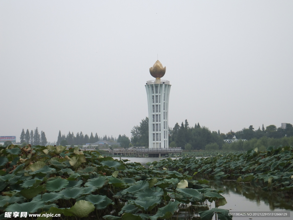 岳阳团湖公园