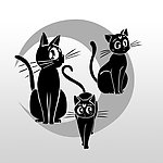 黑猫