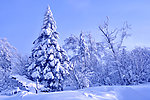 雪凇