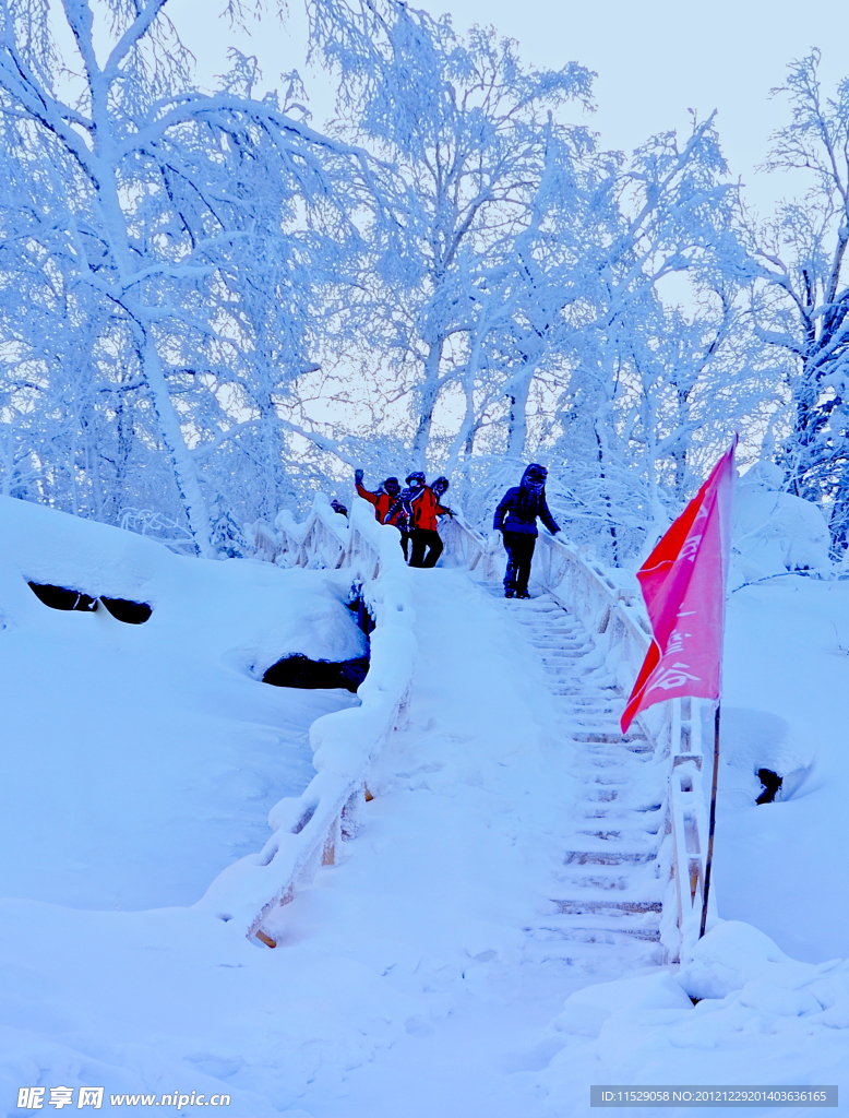 雪谷木桥