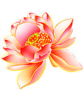 莲花