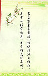学校展板