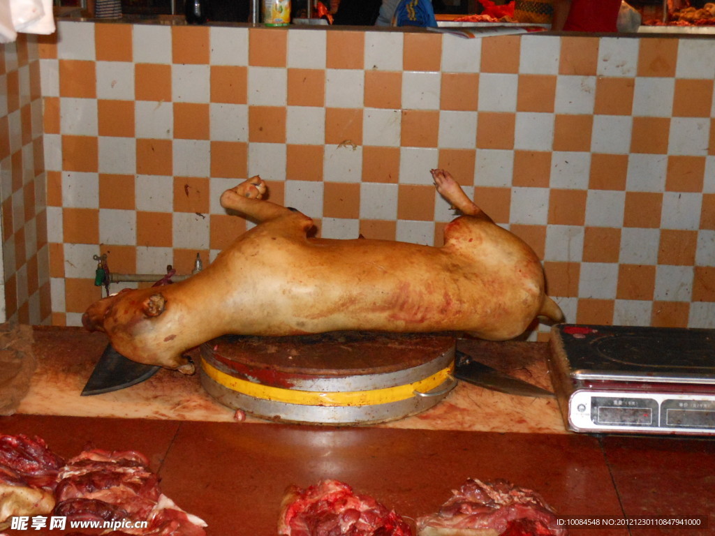 狗肉