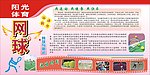 阳光体育 网球