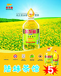 金龙鱼菜籽油
